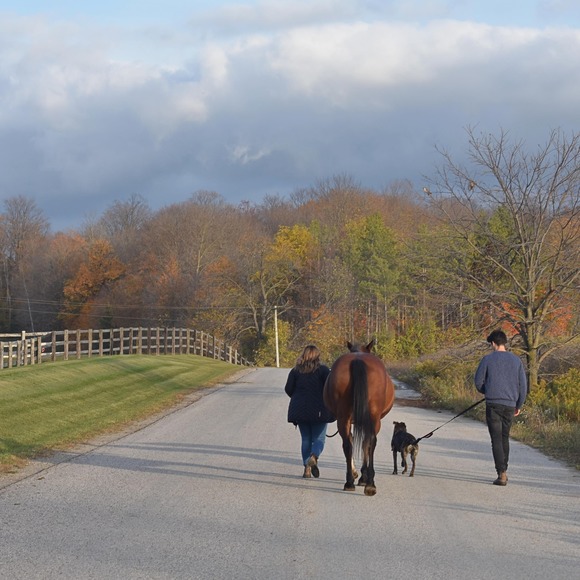 Meet your Posher, Ursula - Picture 1 of 1